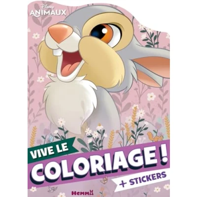 Afbeelding van Disney animaux: + stickers