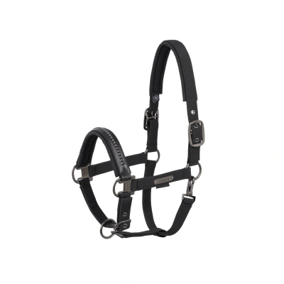 Image de Eskadron Licol Softshell Pearls Platinum &#039;25 NoirVendu par Agradi