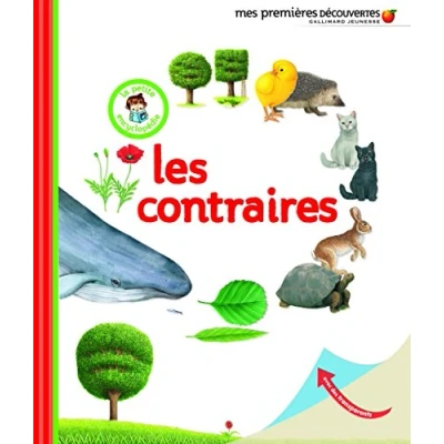 Afbeelding van Les Grands Livres De La Petite Souris
