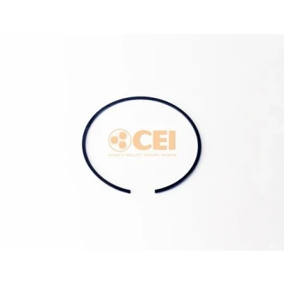 Afbeelding van CEI 111.585 Borgring