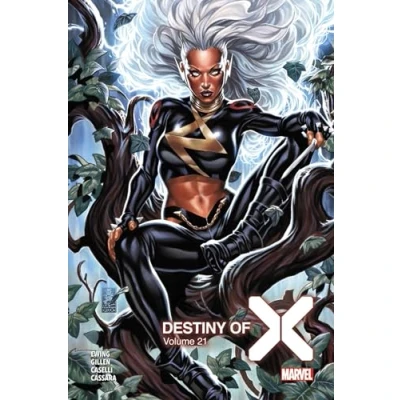 Afbeelding van Destiny of x,21