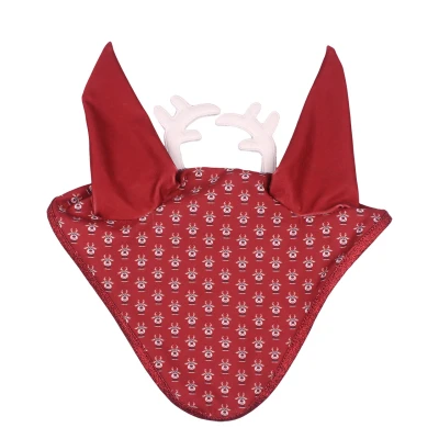 Image de QHP Noël Rudolph Earnet