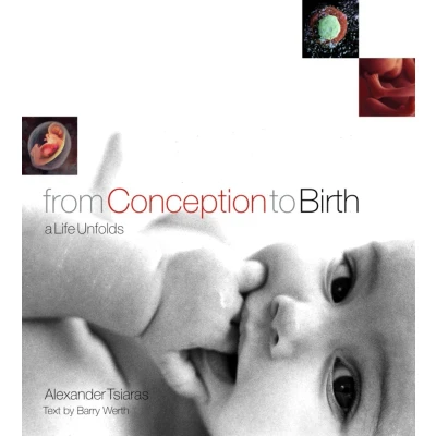 Afbeelding van From Conception To Birth: A Life Unfolds