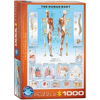 Afbeelding van Eurographics Power of Three legpuzzel Anne Stokes 1000 stukjes