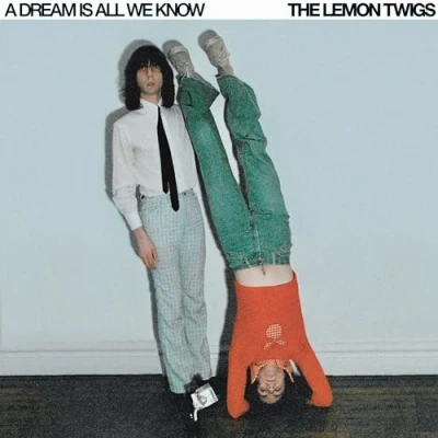 Afbeelding van Lemon Twigs A Dream is All We Know (LP)