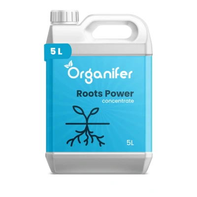 Afbeelding van Organifer Wortelstimulator Roots Power Concentraat 5 liter