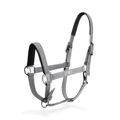 Image de Mrs. Ros Ensemble licou Festive Gris Full