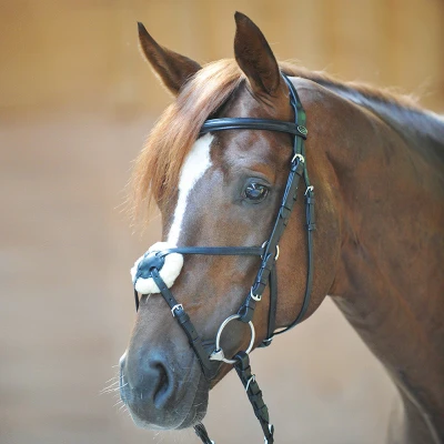 Image de Kavalkade Bridle Carlos mexican noseband