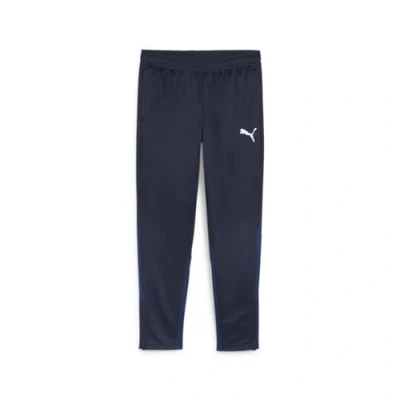 Afbeelding van Puma teamgoal training pant in de kleur marine.