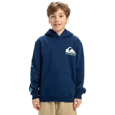 Afbeelding van Quiksilver OMNI LOGO Hoodie Youth Unisex voor kinderen, Maat: 176, Light grey heather
