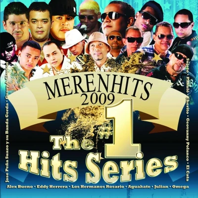 Afbeelding van Various Artists Merenhits 2009 (CD)