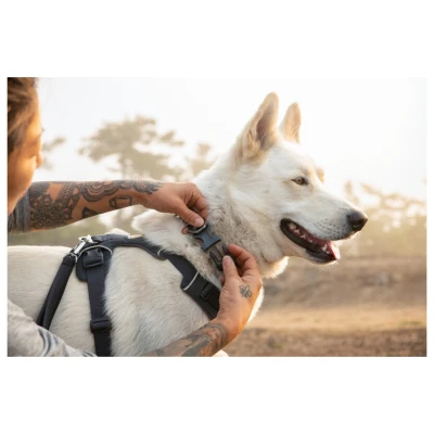 Afbeelding van Ruffwear Front Range Collar Donkergrijs Hondenhalsband 51 66 cm