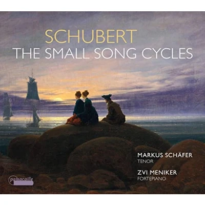 Afbeelding van Markus Schäfer &amp; Zvi Meniker The Small Song Cycles (CD)