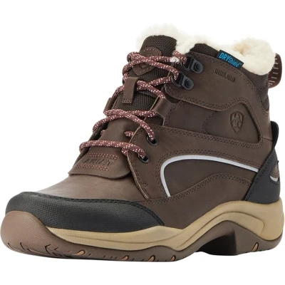 Afbeelding van Ariat Stalschoenen Telluride H2O Dames Dark Brown 39 Agradi.be