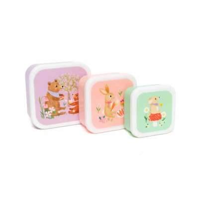 Afbeelding van Petit monkey snackdoosjes animals picnic 3st