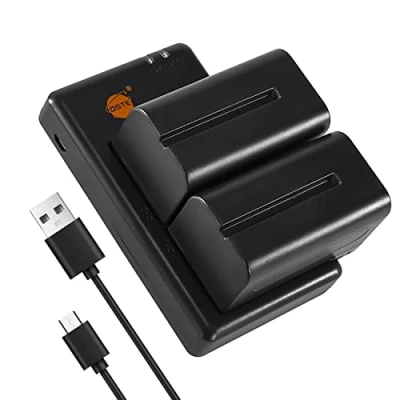 Afbeelding van DSTE 2 stuks NP F730 (5000 mAh/7,4V) batterijlader compatibel voor Sony DCR TRV820K, CCD SC65, TRV815, TRV9, TR3, TRV82, TRV900, TR3000, TRV85,