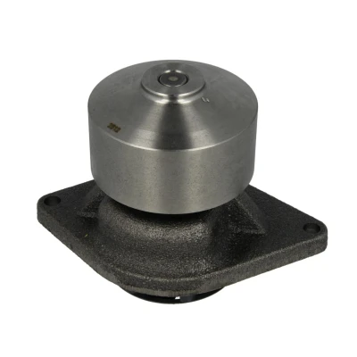 Afbeelding van DOLZ L214 Waterpomp 42,5