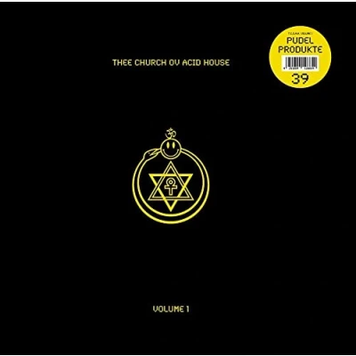 Afbeelding van Thee Church Ov Acid House