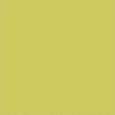 Afbeelding van Textile Color, kiwi, dekkend, 50 ml/ 1 fles