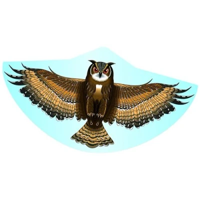 Image de GUNTHER 1193 Cerf Volant Monofil Eule