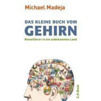 Afbeelding van Das kleine Buch vom Gehirn