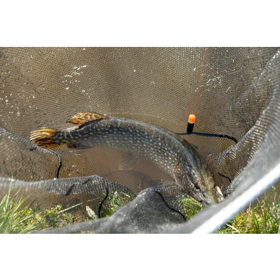 Afbeelding van Ultimate Specimen Predator Landingnet &#039;Large&#039; Schepnet
