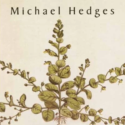Afbeelding van Michael Hedges Taproot (CD)