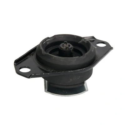 Afbeelding van REINHOCH RH11 1030 Aslichaam / motorsteunlager Achter LANCIA: Lybra Saloon