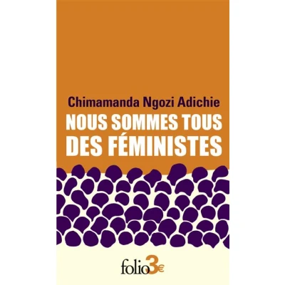 Image de Nous sommes tous des féministes/Le danger de l&#039;histoire unique