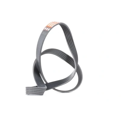 Afbeelding van Gates Poly V riem 5PK890