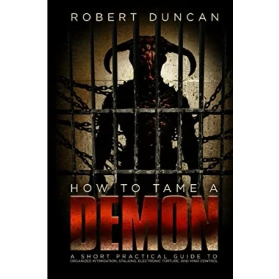 Afbeelding van How to Tame a Demon