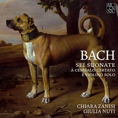 Afbeelding van Chiara Zanisi &amp; Giulia Nuti Sei Suonate A Cembalo Certato E Violino Solo (2 CD)
