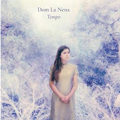 Afbeelding van Dom La Nena Tempo (CD)