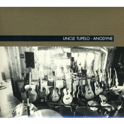 Afbeelding van Anodyne (Expanded and Remastered)
