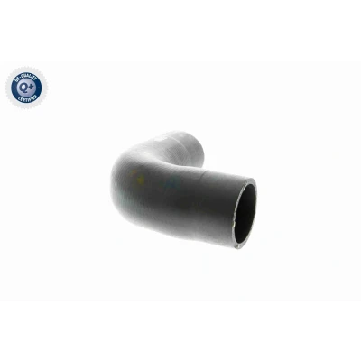 Afbeelding van Vaico Motorsteun V10 3749