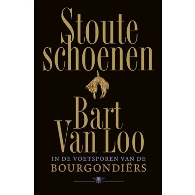 Image de Stoute schoenen