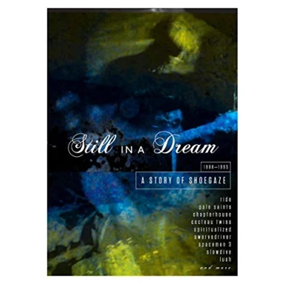 Afbeelding van Still in a Dream