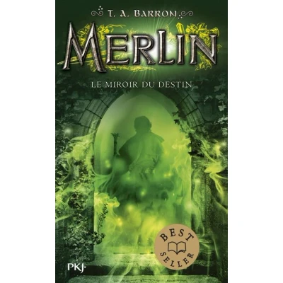 Image de Merlin tome 4 Le miroir du destin