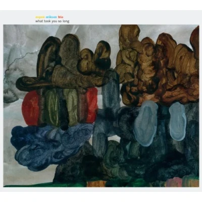 Afbeelding van Espen Eriksen Trio What Took You So Long
