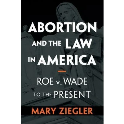 Afbeelding van Abortion and the Law in America