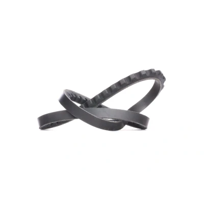 Afbeelding van Dayco V riem 10A0665C