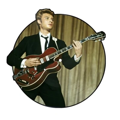 Afbeelding van Johnny Hallyday (LP)