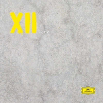 Afbeelding van V/A Xii (LP)