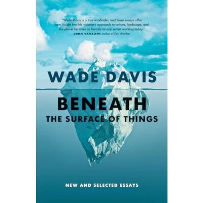 Afbeelding van Beneath the Surface of Things