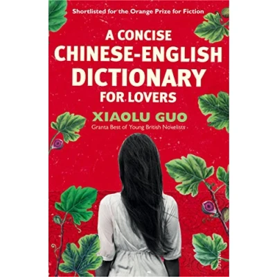 Afbeelding van A Concise Chinese English Dictionary for Lovers