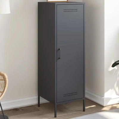 Afbeelding van Hoge kast 36x39x113 cm staal antracietkleurig