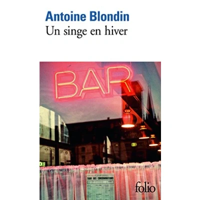 Afbeelding van Un singe en hiver