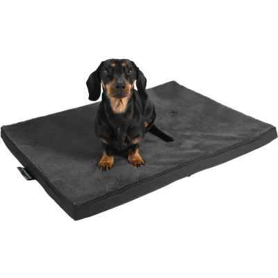 Afbeelding van MyBestBuddy Hoogwaardig orthopedisch kussen met 3 cm volledig schuimkern, grijs, 60 x 40 cm, maat S, hondenmat stoffen overtrek, wasbaar op graden, geschikt voor