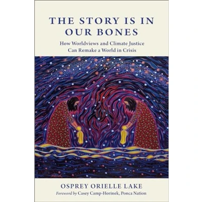 Afbeelding van The Story is in Our Bones