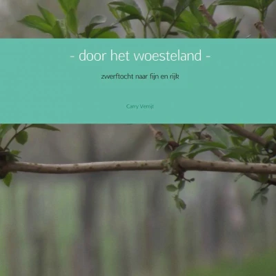 Afbeelding van door het woesteland